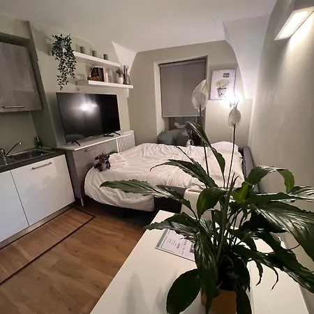 La Casa Di Lupetto Apartment